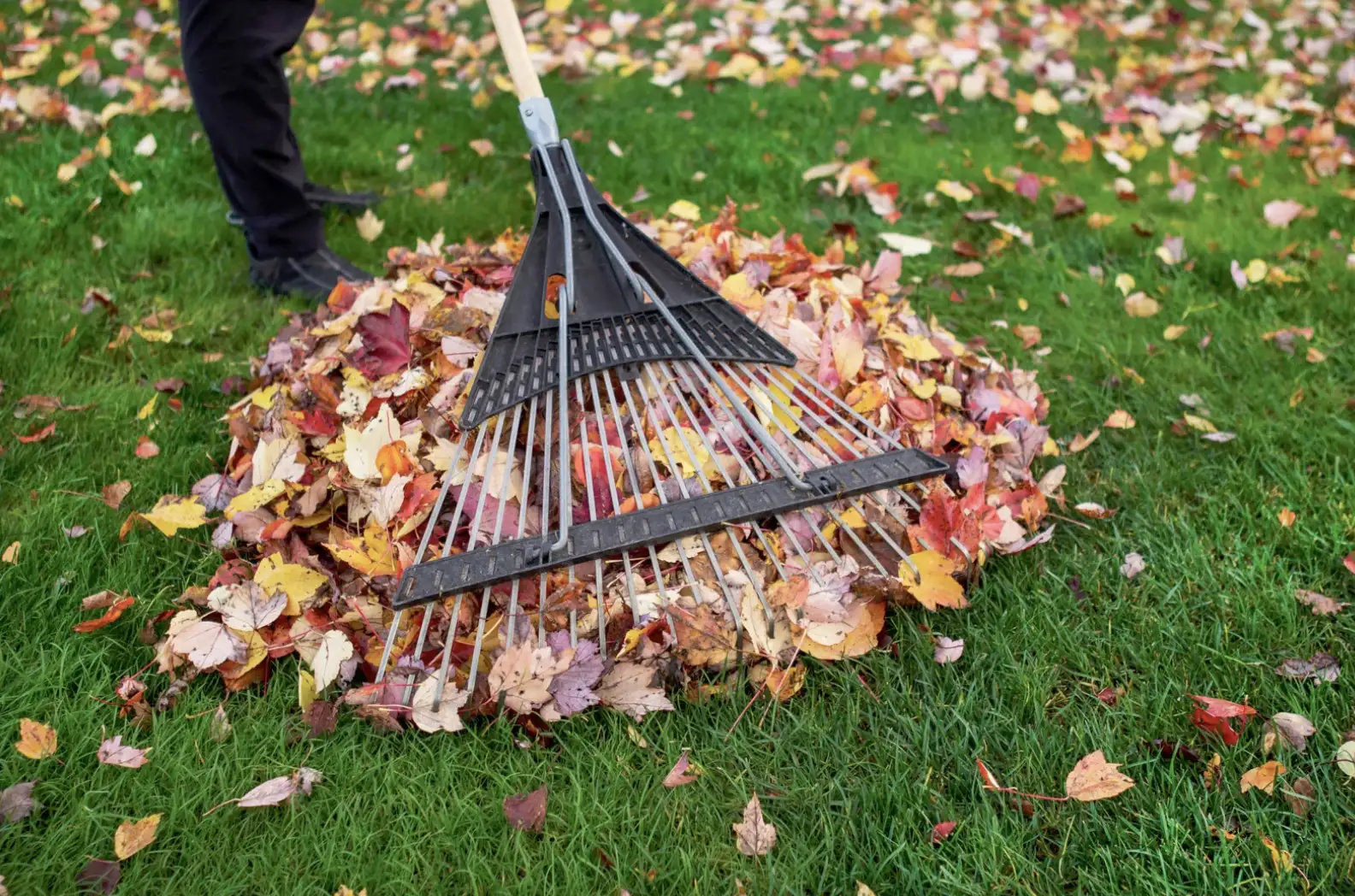 Lawn Mower Autumn Garden Care