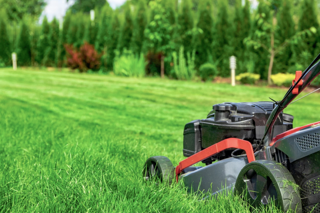 Lawn Mower lawn care mistakes