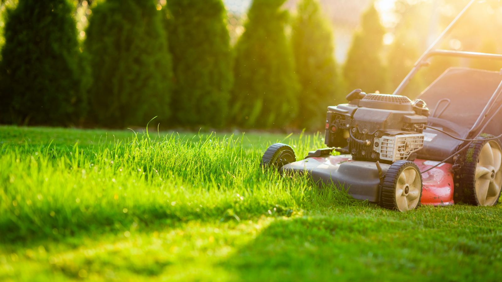 Lawn Mower garden machinery maintenance