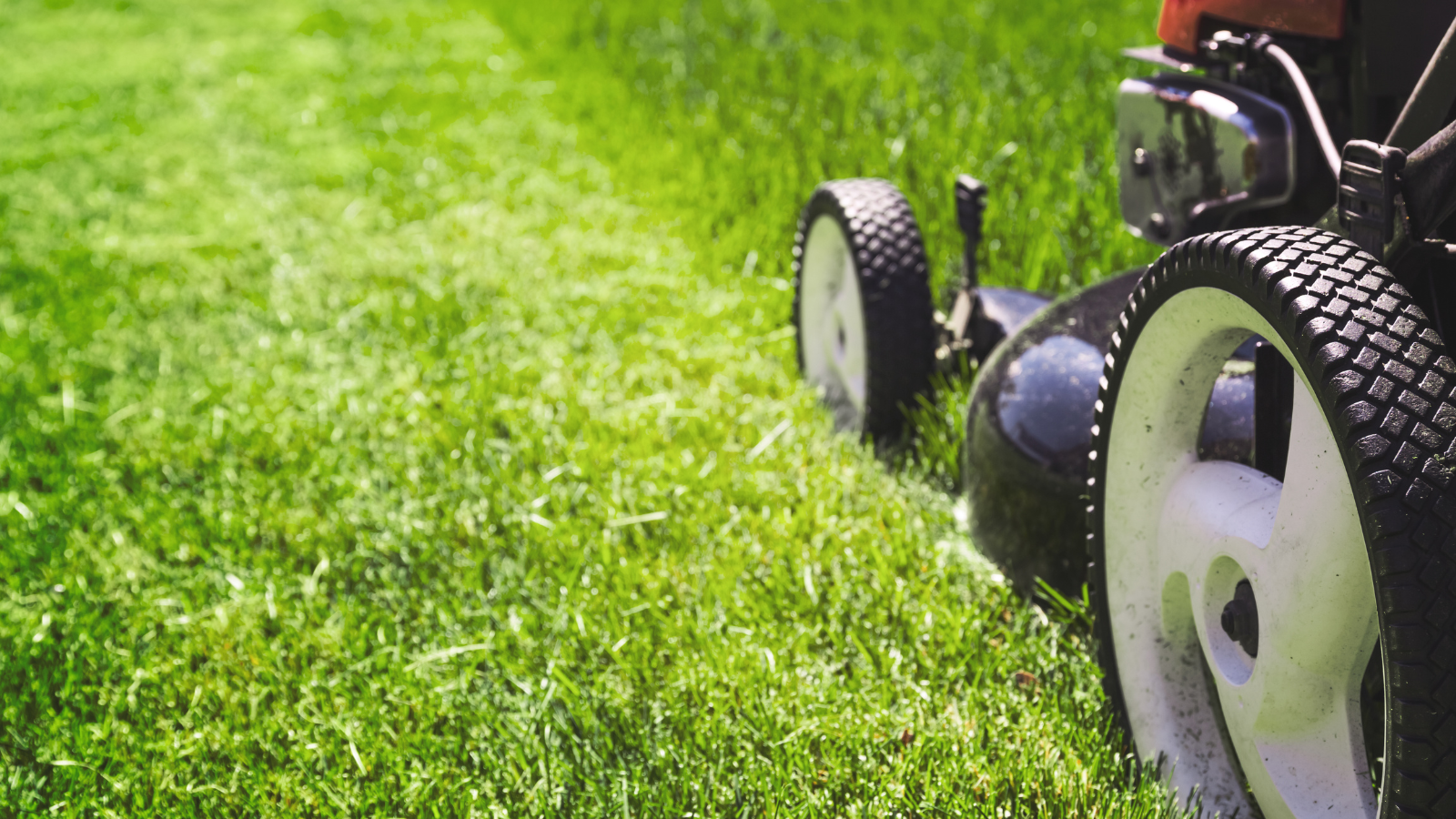 Lawn Mower Battery vs petrol lawn mowers