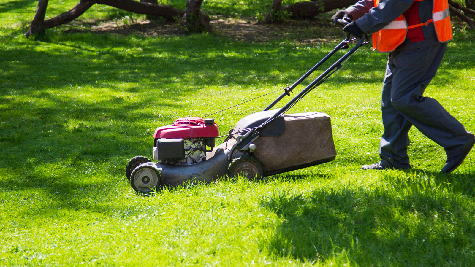 Lawn Mower prepare lawn summer heat