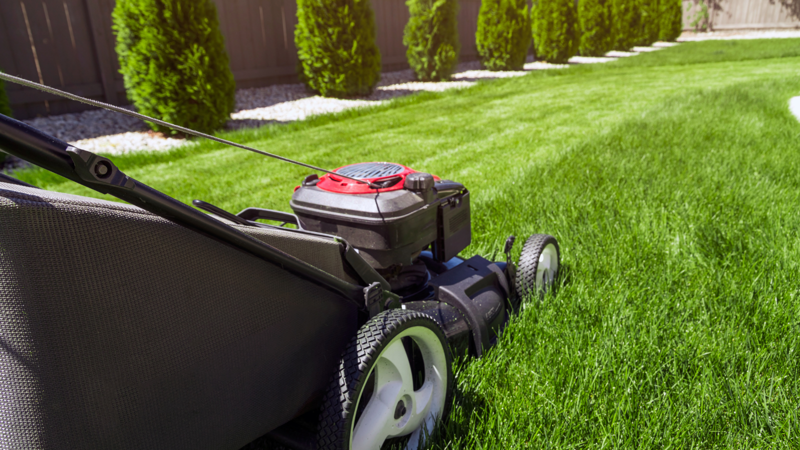 Lawn Mower service lawn mower