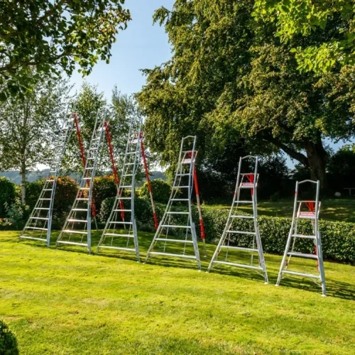 Lineup - PRO